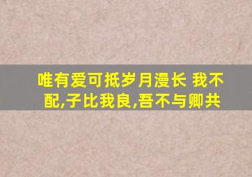 唯有爱可抵岁月漫长 我不配,子比我良,吾不与卿共